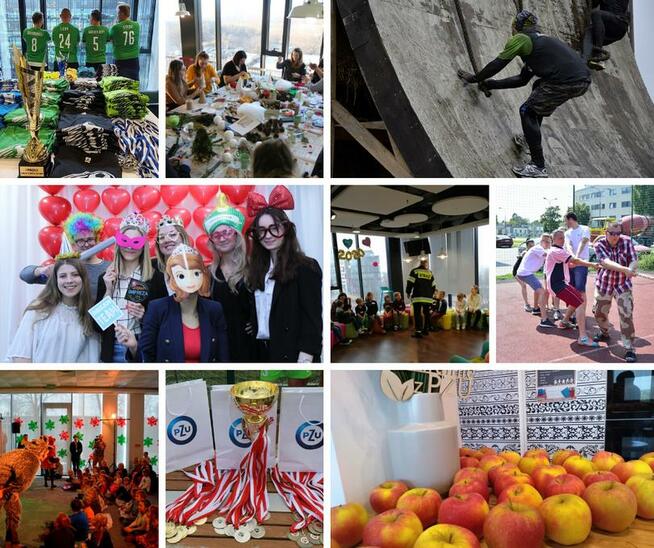 PZU - telefoniczna obsługa szkód