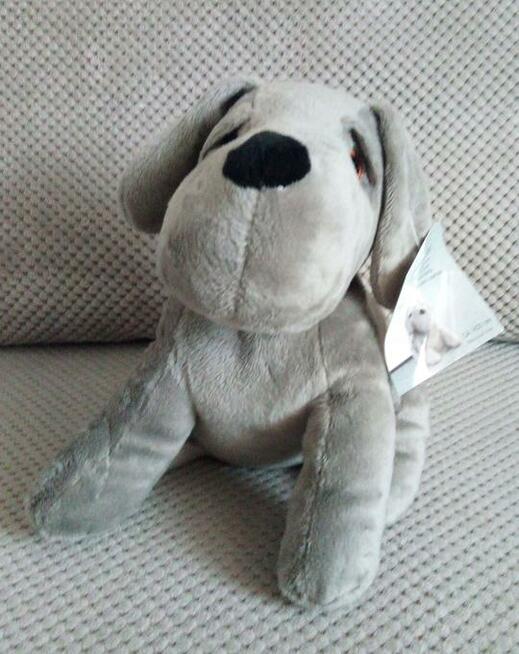 Stoper do drzwi blokada holder pies terier dog