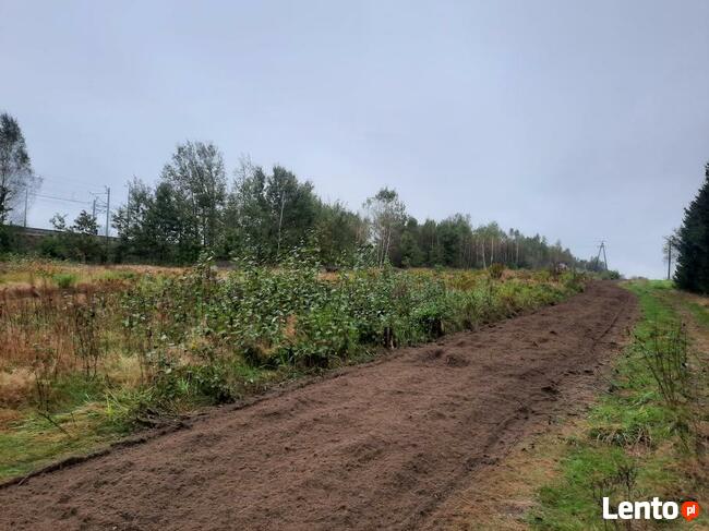 Usługi mulczerem wycinka samosiejek mulczer