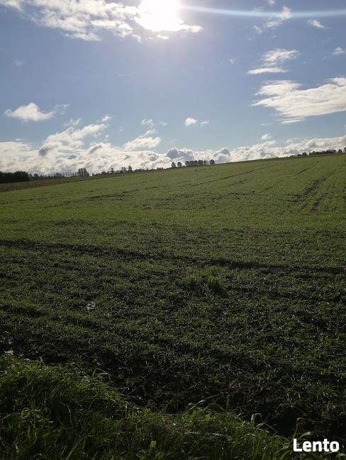 Działka siedliskowa z warunkami zabudowy- Białogarda