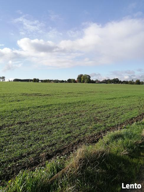 Działka siedliskowa z warunkami zabudowy- Białogarda