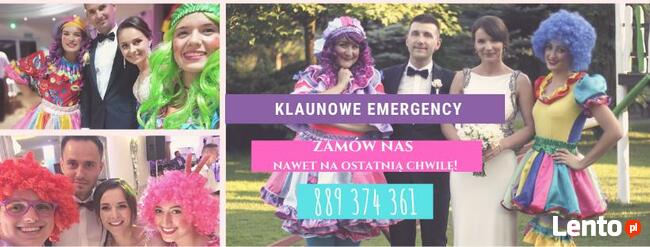 Animacja dzieci na weselu, urodzinach. Animacje dla dzieci.