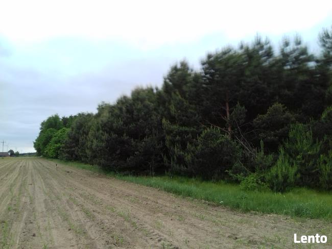 80 KM OD WARSZAWY BUDOWLANA