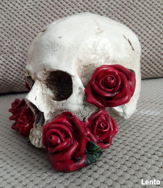 Czaszka w czerwonych różach skull red roses