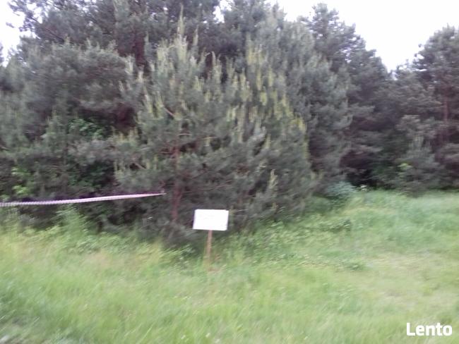 80 KM OD WARSZAWY BUDOWLANA