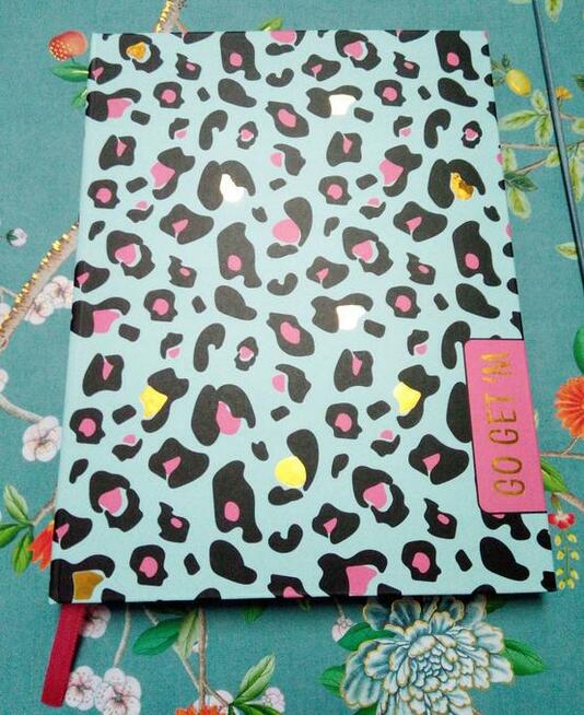 Centkowany planer osobisty organizer terminarz
