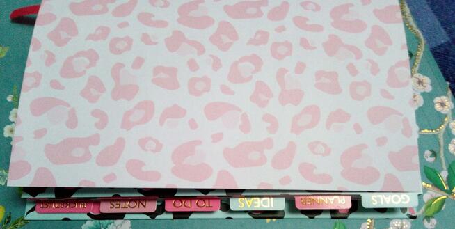 Centkowany planer osobisty organizer terminarz