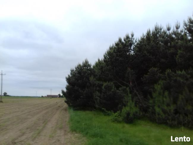 80 KM OD WARSZAWY BUDOWLANA