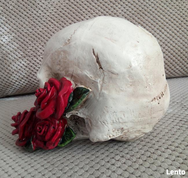 Czaszka w czerwonych różach skull red roses