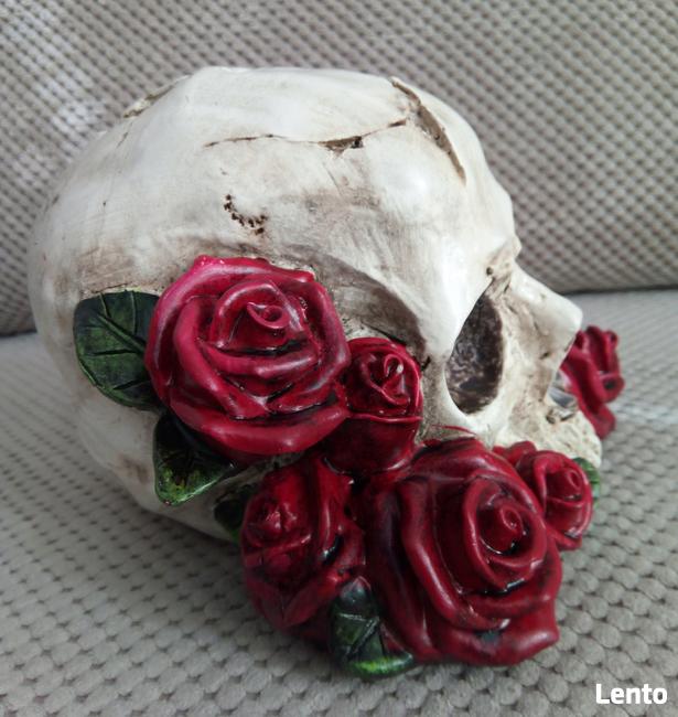 Czaszka w czerwonych różach skull red roses