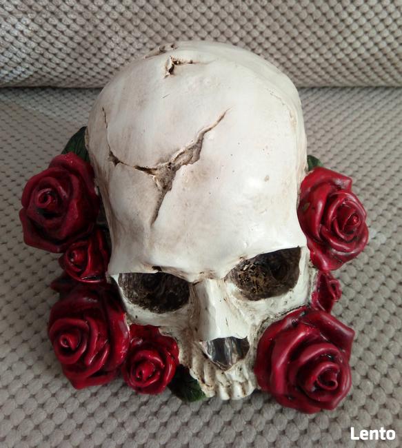 Czaszka w czerwonych różach skull red roses