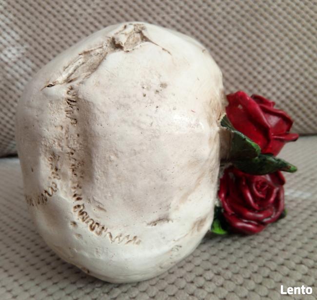 Czaszka w czerwonych różach skull red roses
