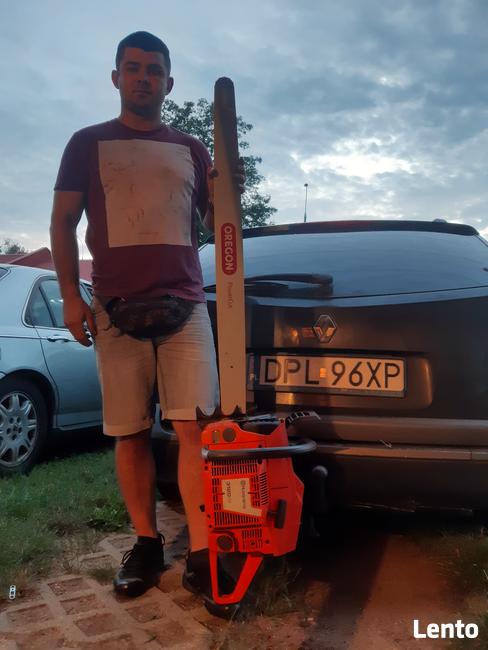 Wycinka drzew oraz ciecie i rabanie drewna