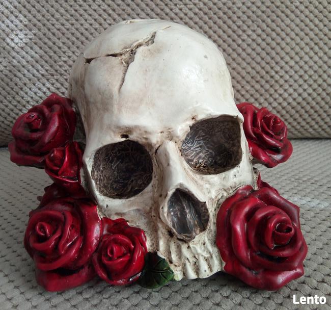 Czaszka w czerwonych różach skull red roses