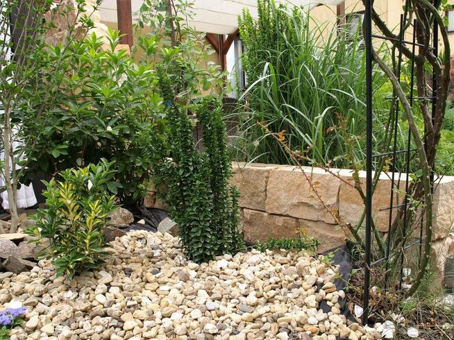 Kamień dekoracyjny do ogrodu