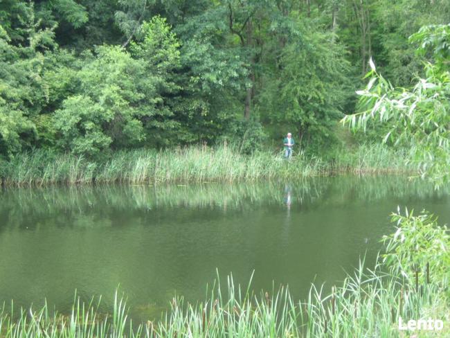 Działki budowlane dobra lokalizacja, atrakcyjna cena