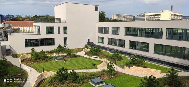 Kamień dekoracyjny do ogrodu