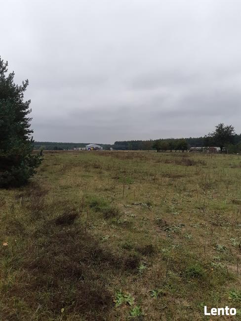 Działki budowlane dobra lokalizacja, atrakcyjna cena