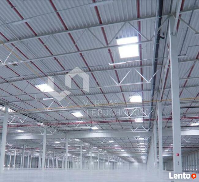 Lokal użytkowy Czeladź