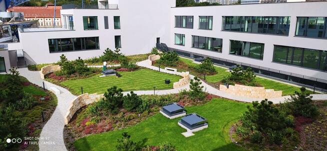 Kamień dekoracyjny do ogrodu