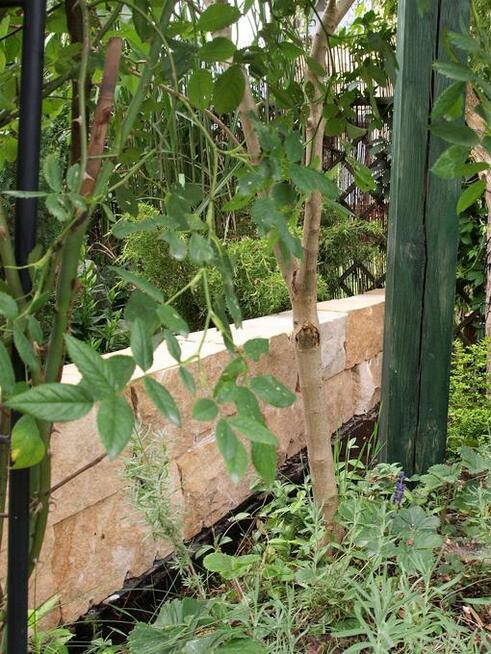 Kamień dekoracyjny do ogrodu