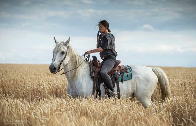 Sklep Jeździecki PRO HORSE Zapraszamy!