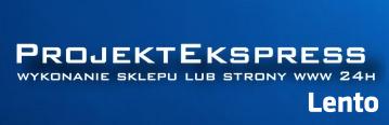Projekt Express szybkie wykonanie strony lub sklepu 24h