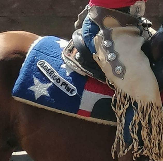 Sklep Jeździecki PRO HORSE Zapraszamy!