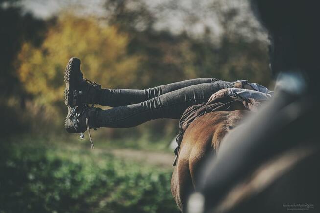 Sklep Jeździecki PRO HORSE Zapraszamy!