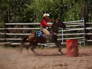 Sklep Jeździecki PRO HORSE Zapraszamy!