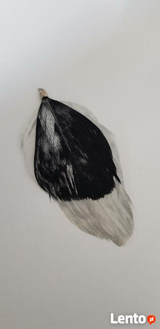 Ozdobna przewieszka, piórko zara