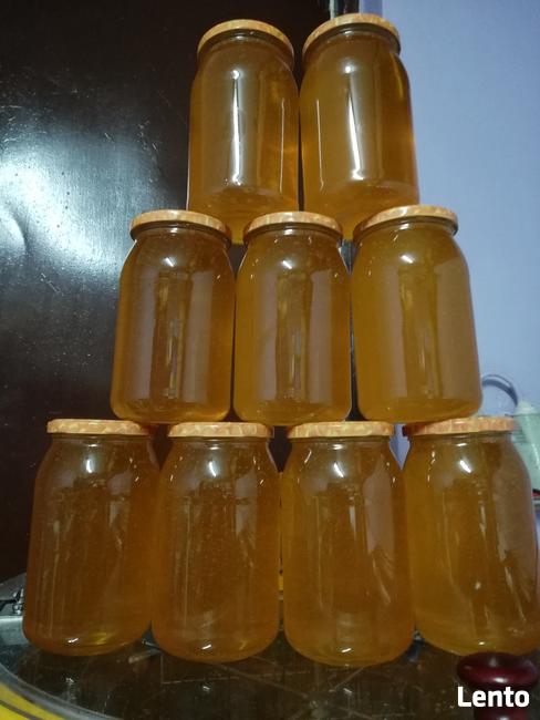 Swieży Miód z własej pasieki