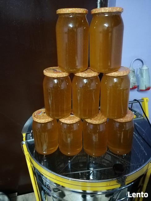 Swieży Miód z własej pasieki