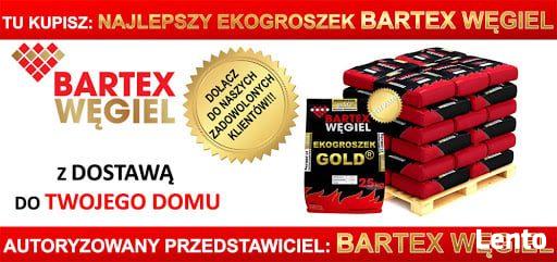 EKOGROSZEK BARTEX: Ekogroszek GOLD