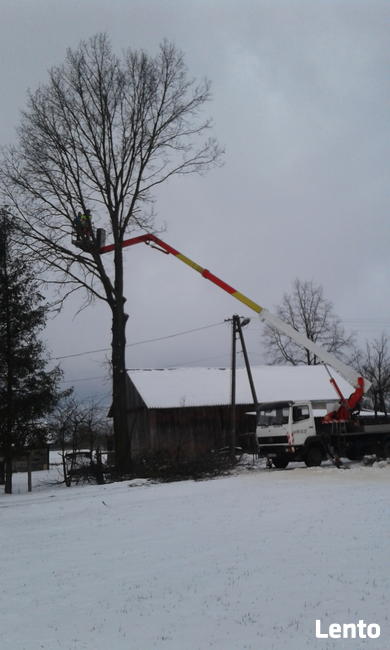 Wycinka, pielęgnacja drzew, zwyżka - podnośnik
