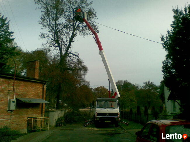Wycinka, pielęgnacja drzew, zwyżka - podnośnik