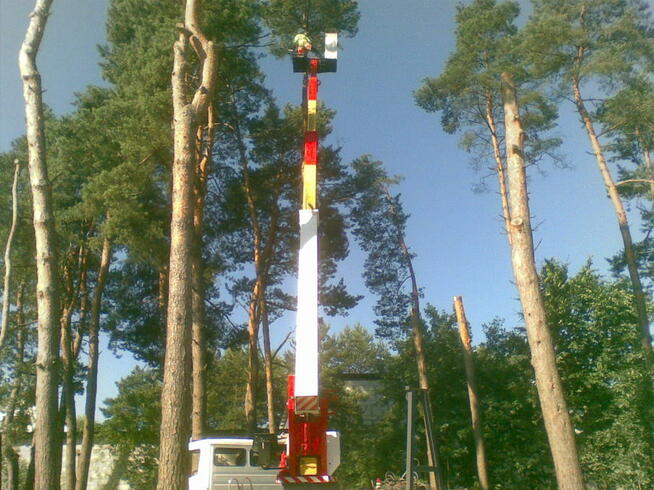 Wycinka, pielęgnacja drzew, zwyżka - podnośnik