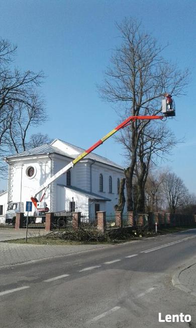 Wycinka, pielęgnacja drzew, zwyżka - podnośnik