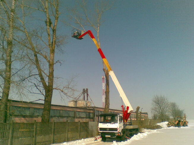 Wycinka, pielęgnacja drzew, zwyżka - podnośnik
