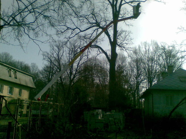 Wycinka, pielęgnacja drzew, zwyżka - podnośnik