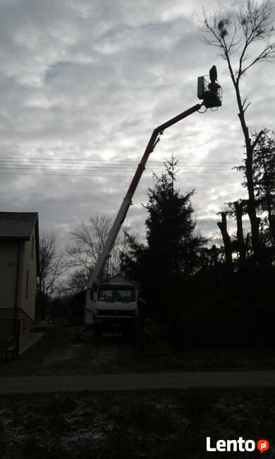 Wycinka, pielęgnacja drzew, zwyżka - podnośnik