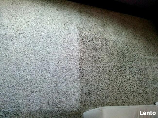 SZKOLENIE / KURS - PRANIA DYWANÓW, CZYSZCZENIA TAPICERKI