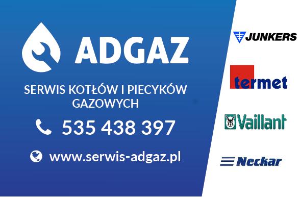 Serwis piecyków gazowych. Wrocław.