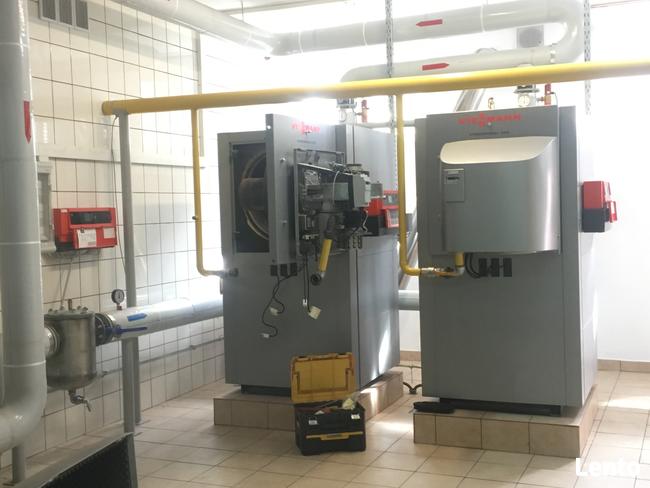 Serwis kotłów gazowych Viessmann Krosno Odrzańskie