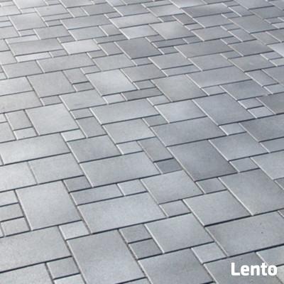 Koszenie traw utylizacja gałezi tuj odpady transport Rzeszów