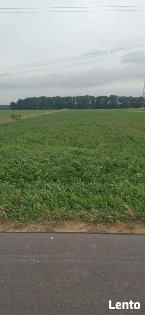 Działka rolno budowlana