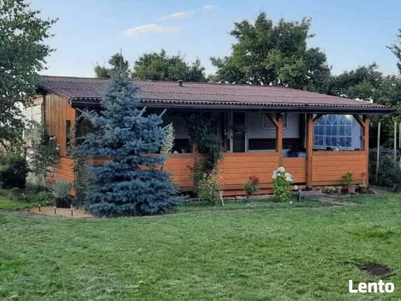 Ogrodnik wykona usługi w twoim ogrodzie