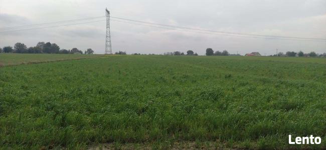 Działka rolno budowlana