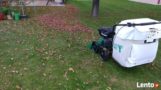 Odkurzacz do liści i trawnika usługa lub wypożyczenie
