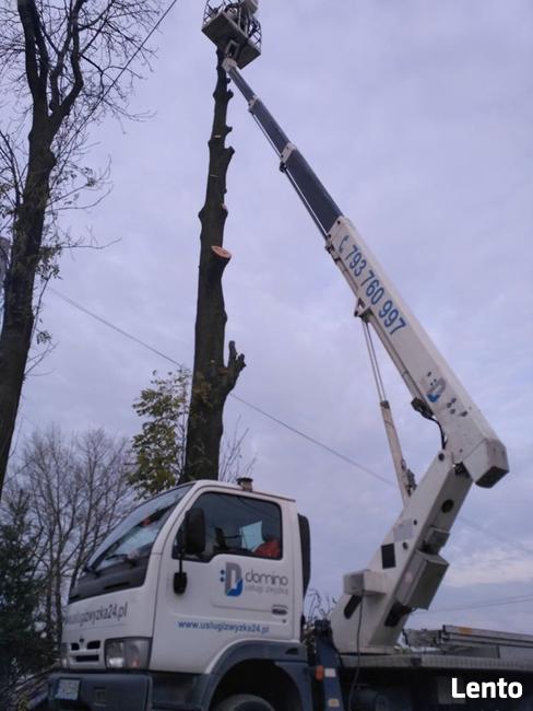 Mycie malowanie dachów i elewacji, wynajem podnośnika